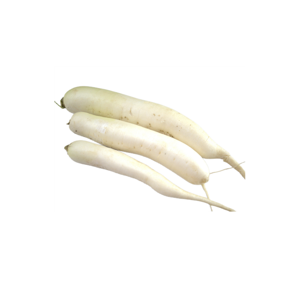 Świeża rzodkiew biała daikon - SIGMA FRESH