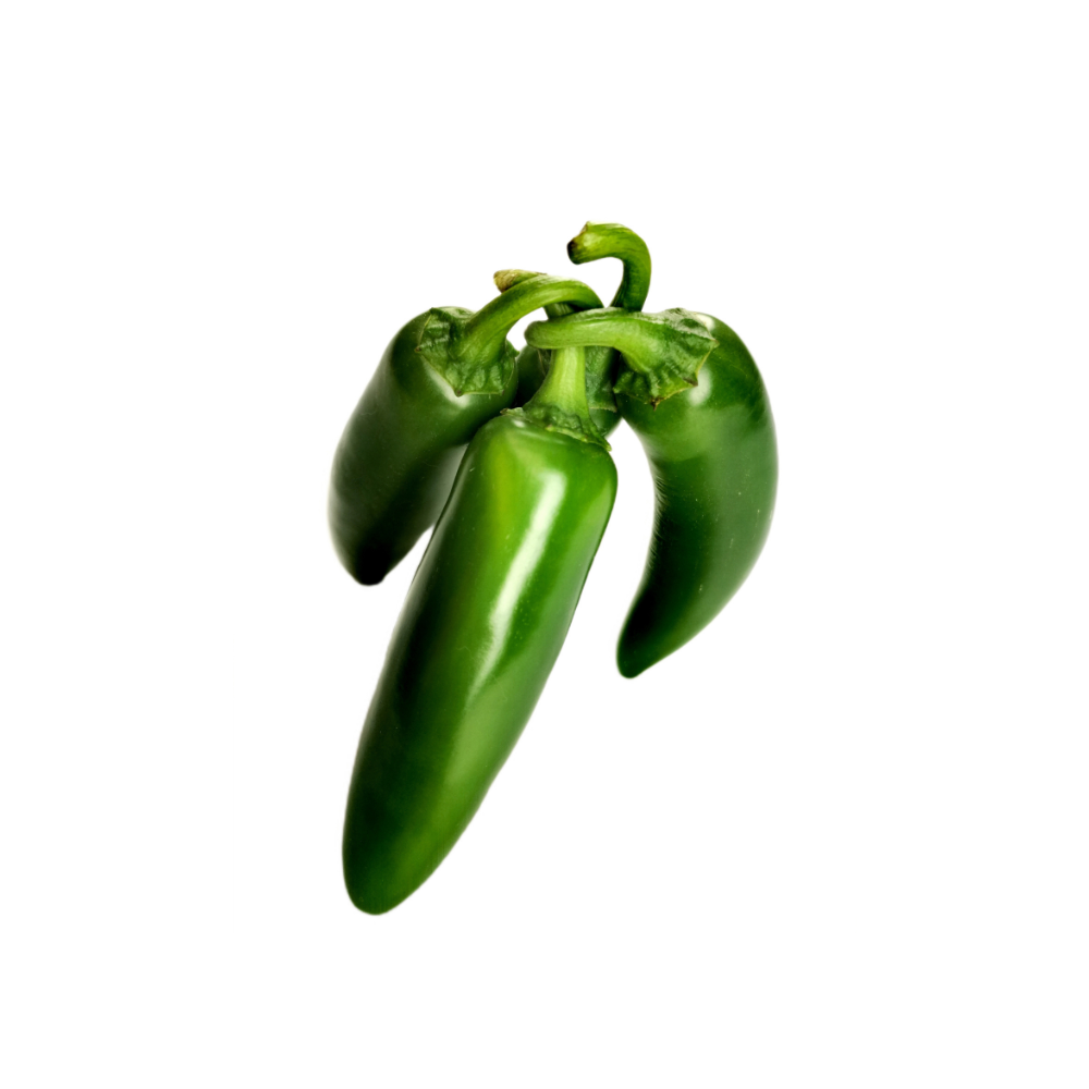 Świeża papryka jalapeno - SIGMA FREH