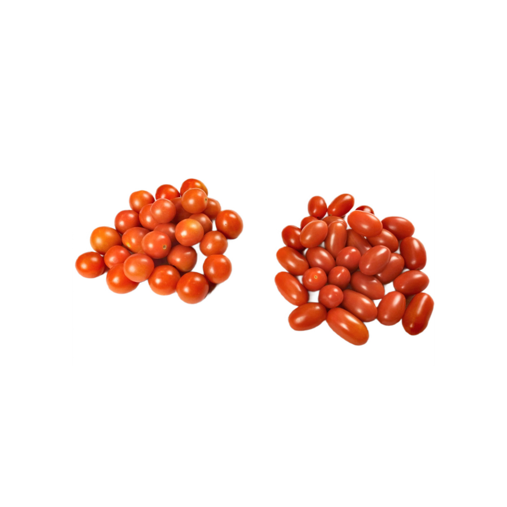 Świeże pomidorki cheery daktyl mix - SIGMA FRESH