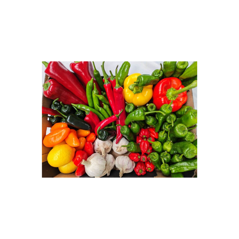 Świeży zestaw papryka ostra słodka chili ramiro padrone habanero – SIGMA FRESH